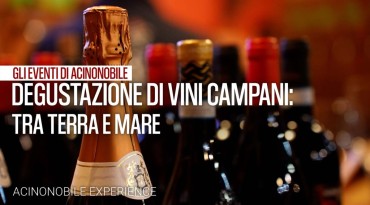 Gli eventi di AcinoNobile: I vini Campani