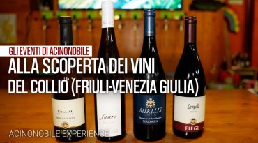 Gli eventi di AcinoNobile: Le espressioni del Collio