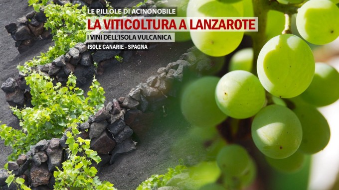 🍇La Viticoltura a Lanzarote