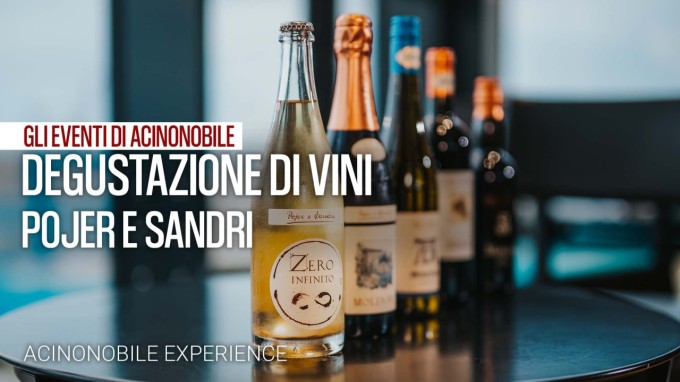 Gli Eventi di AcinoNobile | Degustazione dei vini di Pojer e Sandri