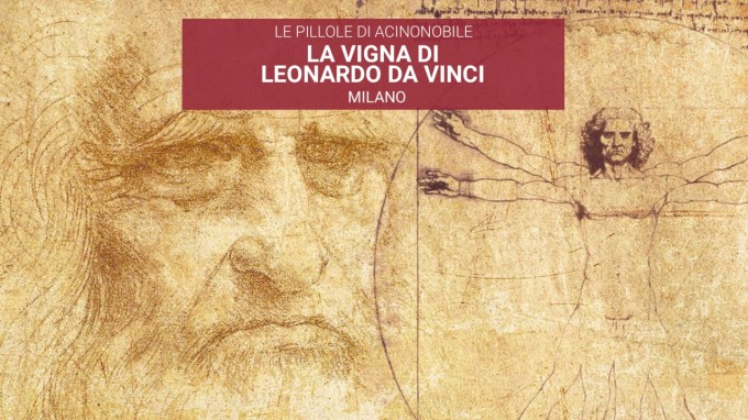 Che Vitigno Coltivava Leonardo da Vinci 500 anni fa a Milano?