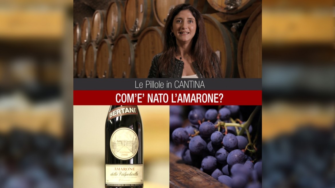 Come nasce l'Amarone: il caso, l'errore, la fortuna - Prima Classe - Ragusa